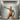 Ohio Players Pain WB 2015 OG US Pressing